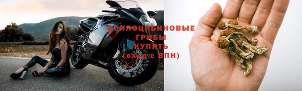 соль ск Алексеевка