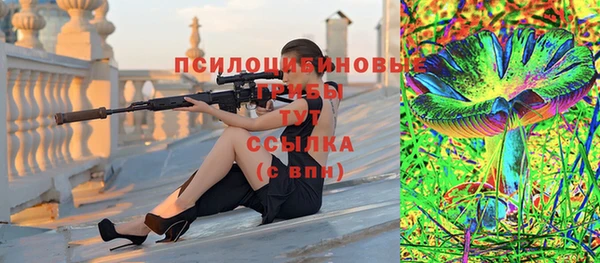 соль ск Алексеевка