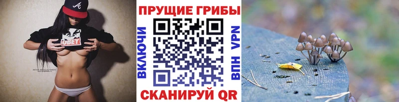 OMG онион Кемь Галлюциногенные грибы Psilocybine cubensis наркошоп