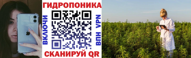 Бошки Шишки MAZAR Кемь